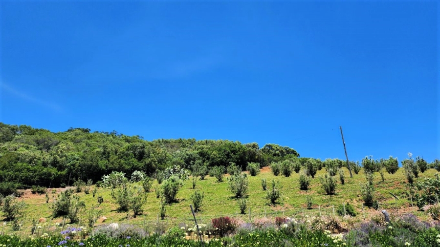 0 Bedroom Property for Sale in Agricultural Holding 318 Western Cape